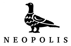 Анима Инфинита Флекс Новгород (Нео Полис)